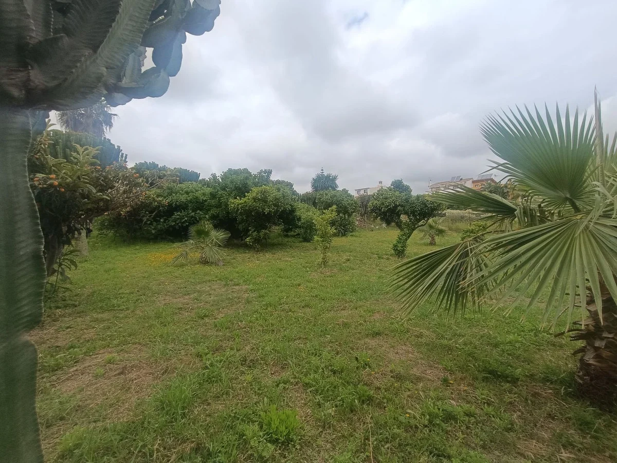 Plot - Land with Ruin med 0 sovrum